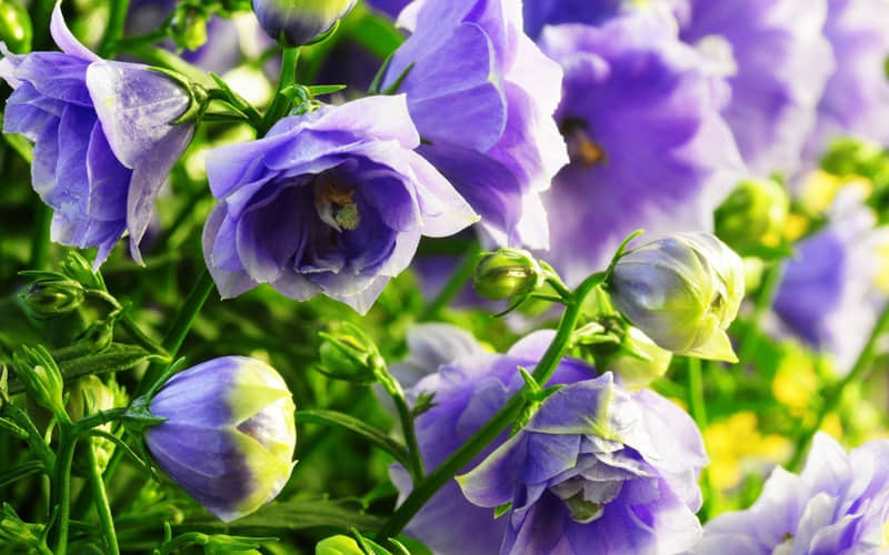 ��Ҫ�����߿�ᷴ��