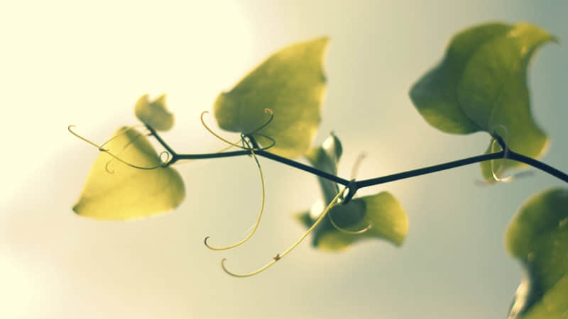 选一句去颠死你的朋友圈_wishdown.com 选一句去颠死你的朋友圈_wishdown.com