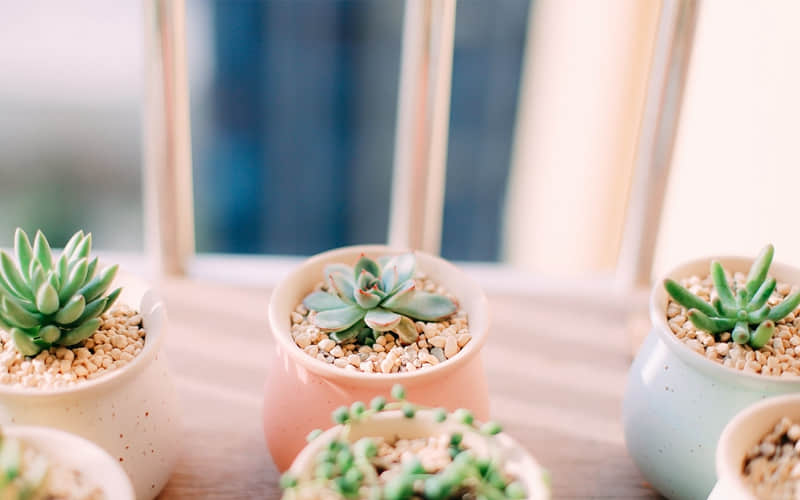 ��ĳ������һ����������