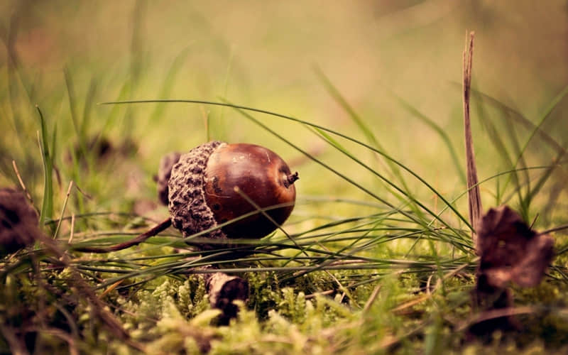 "故意让某人看了难受一晚的句子"_wishdown.com "故意让某人看了难受一晚的句子"_wishdown.com