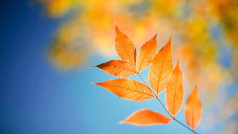 �������Ӻ�������д�Է�100%ͨ��