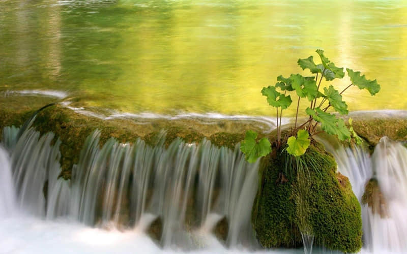 "淡淡的却很有感觉的文案"_wishdown.com "淡淡的却很有感觉的文案"_wishdown.com