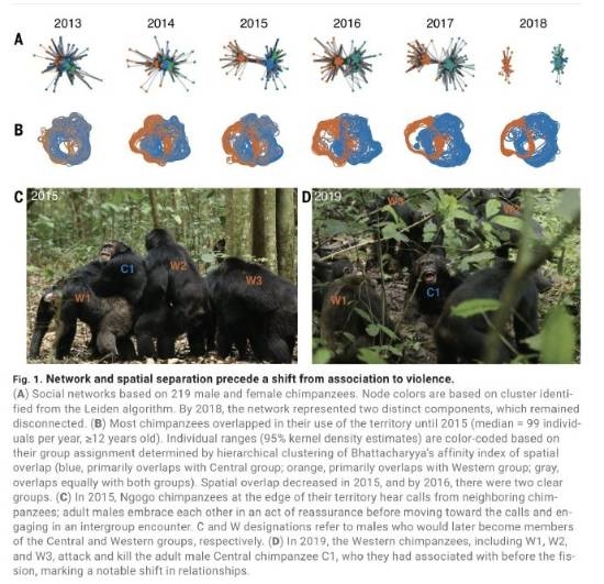 ��ѧ���״μ�֤���ɵ۹���ս��28���� ���ӷ�Ŀ�ɳ��