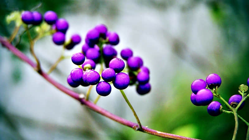 落落大方的你朋友圈就这样发~~_wishdown.com 落落大方的你朋友圈就这样发~~_wishdown.com