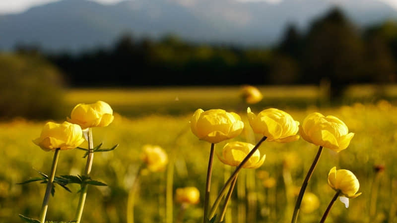 落落大方的你朋友圈就这样发~~_wishdown.com 落落大方的你朋友圈就这样发~~_wishdown.com