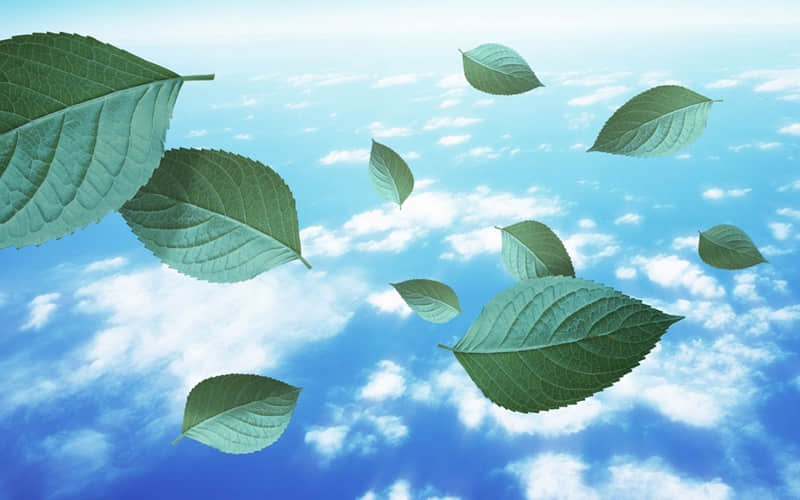 2026老己你的文案来了_wishdown.com 2026老己你的文案来了_wishdown.com