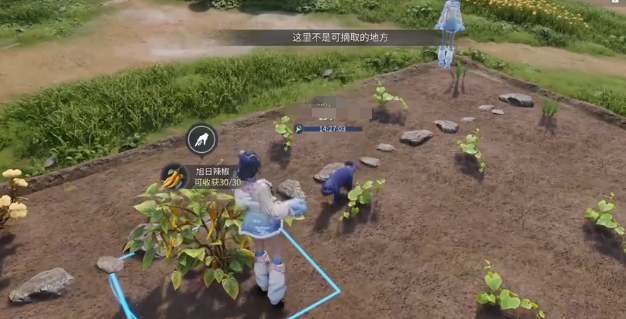 ������ҫ�����԰�淨���