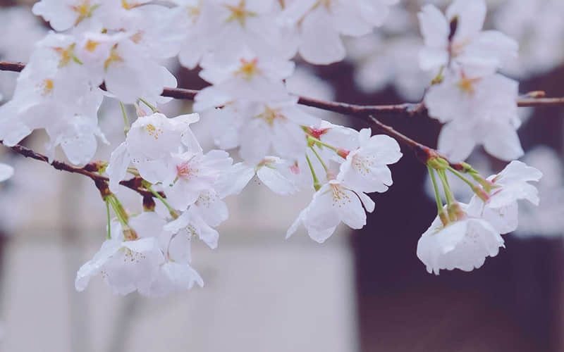 老婆会撒娇老公魂在飘_wishdown.com 老婆会撒娇老公魂在飘_wishdown.com