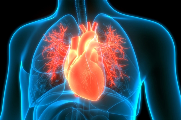 ������ҩ���������ǣ�ҽ����ҥ��Ч�����������ܻ���ҩ��Ӧ��ҽ��