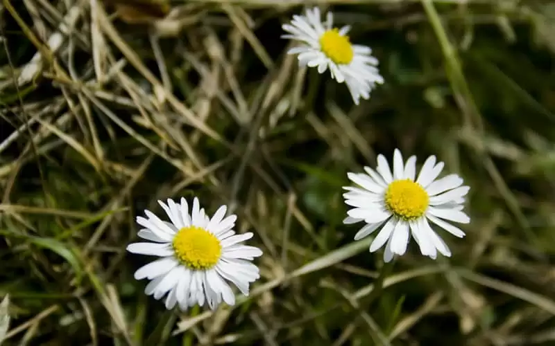 "��λ��ʺ�����Ů��̫ͨ͸��"