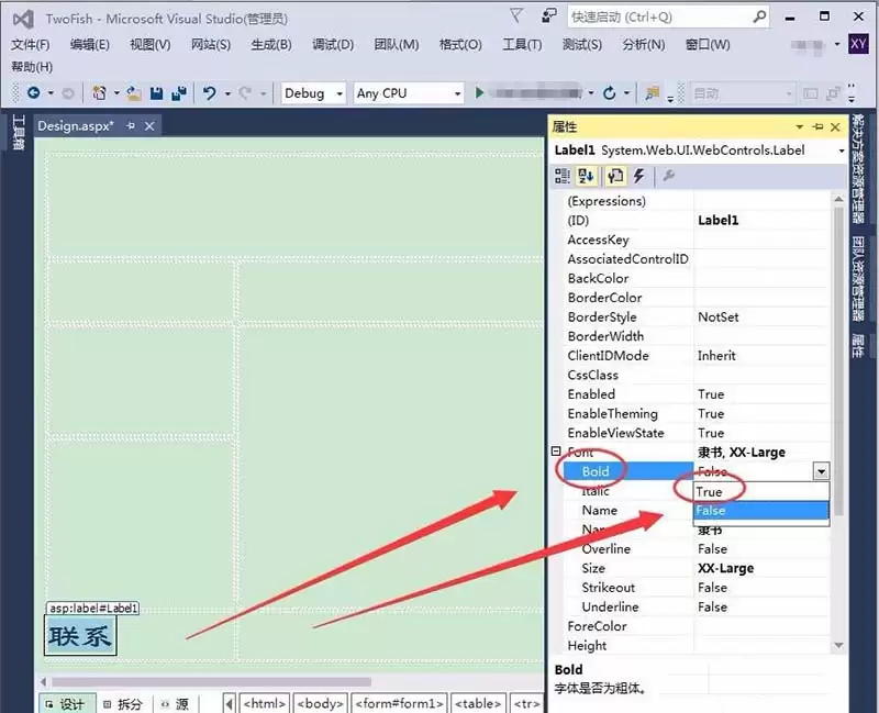 VisualStudio怎么设置控件文本字体格式-设置控件文本字体格式的详细步骤分享_wishdown.com VisualStudio怎么设置控件文本字体格式