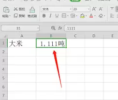 ������Excel�������Զ����ʽ
