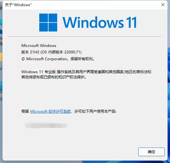 新安装的系统win11版本号怎么看_wishdown.com 新安装的系统win11版本号怎么看