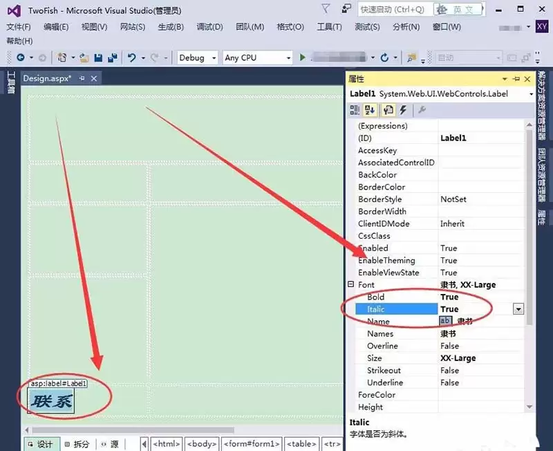 VisualStudio怎么设置控件文本字体格式-设置控件文本字体格式的详细步骤分享_wishdown.com VisualStudio怎么设置控件文本字体格式