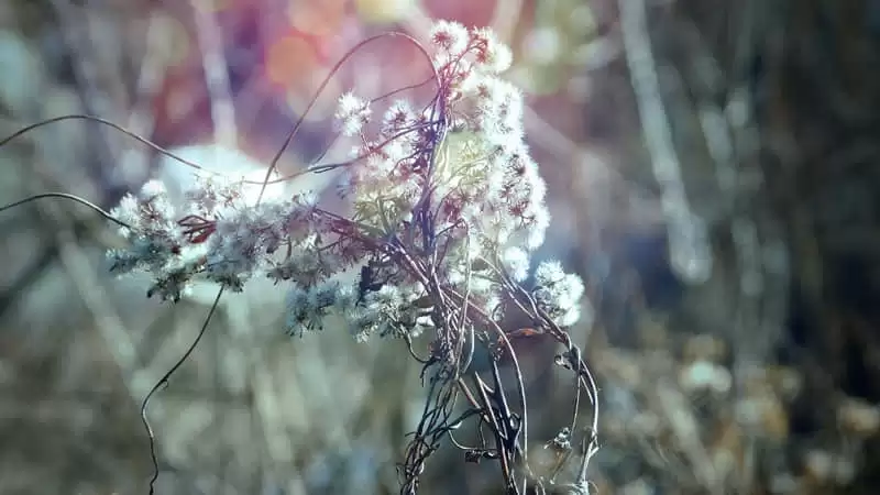 "�����ö��ܾ��������ɵĶ̾�"