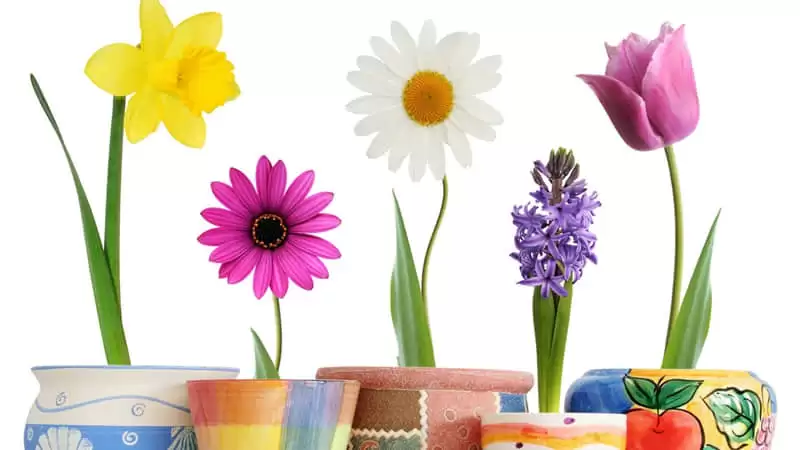 ���˵�ͨ����Խ��������Խ����