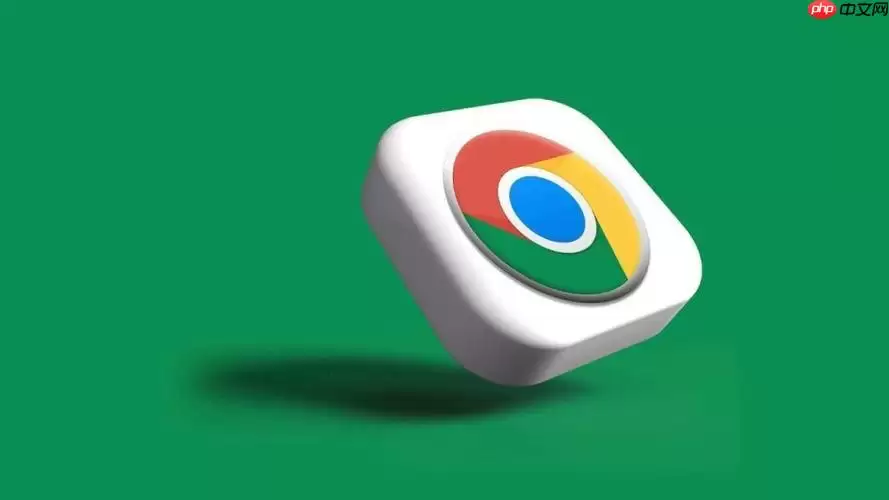 chrome��������֤���