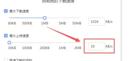 迅雷怎么提高下载速度-迅雷提高下载速度的方法_wishdown.com 迅雷怎么提高下载速度-迅雷提高下载速度的方法_wishdown.com