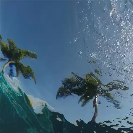 ����������Ů���˸�����(��ѡ100��)