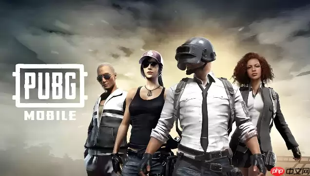 pubg������ڵ����
