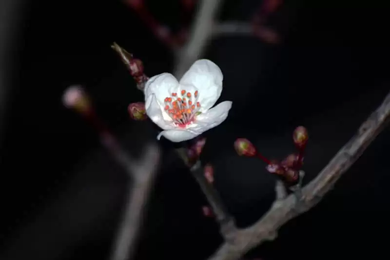 ������������ô����������һ����