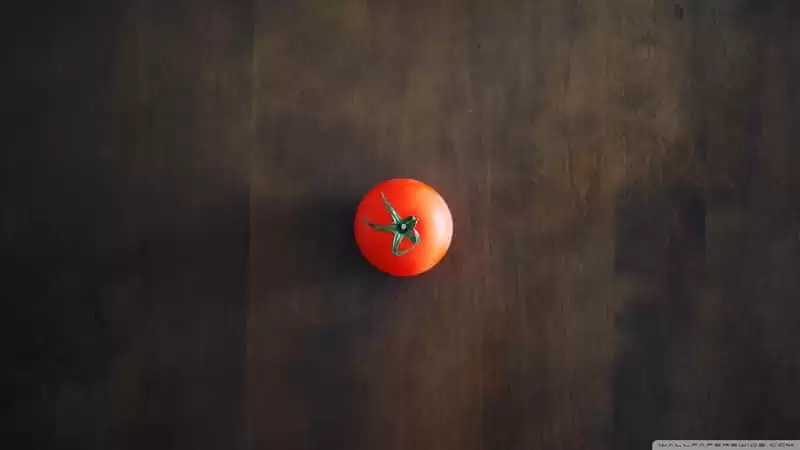 ������������˱�֤������