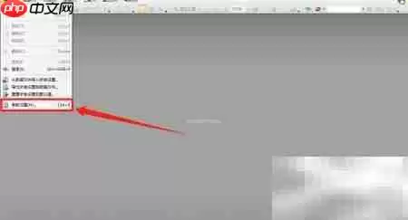 PDF Viewer������ʾ����