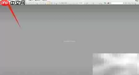 PDF Viewer������ʾ����