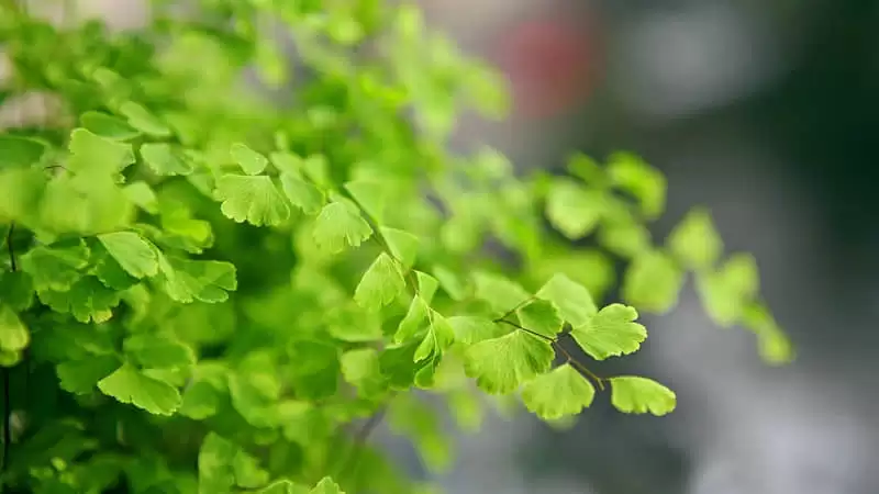 ޶һ��ȥЦ���������Ȧ