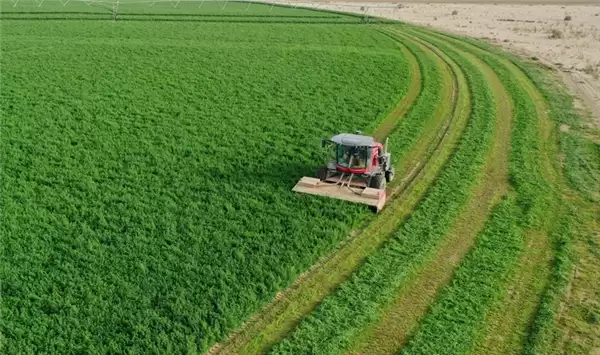 ���������ɳĮ�����˴�Ƭ��ޣ ��ׯ��Ϊ���ϻ��ͬ��Բ