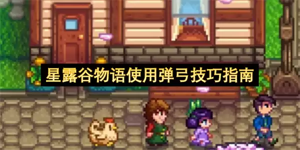 ��¶������ʹ�õ�������ָ��