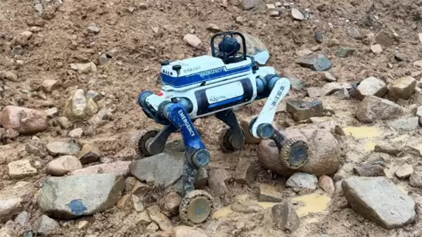 �������ȫ���׸���Ѵ��̨���������ˣ�֧������Ѳ�顢�������