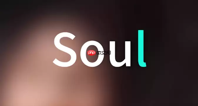 Soul��ô��������ǩ