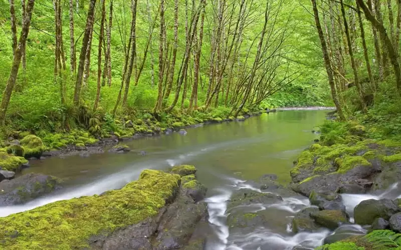 ������Ҫ���㹣Ц����