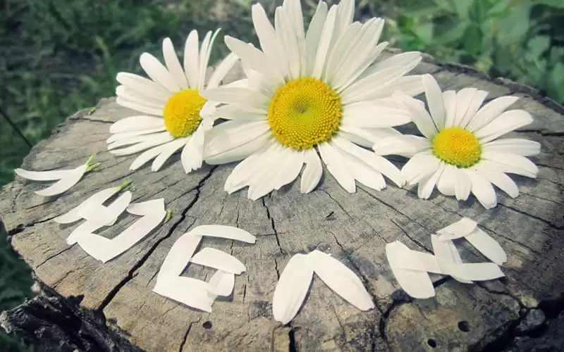 清醒了发一条不一样的朋友圈_wishdown.com 清醒了发一条不一样的朋友圈_wishdown.com