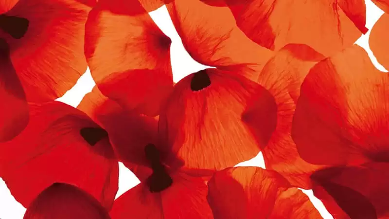 ��ô��Ȧ ���˿��˰�����