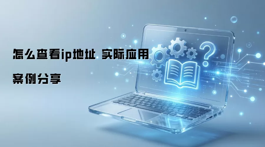 ��ô�鿴ip��ַ ʵ��Ӧ�ð�������