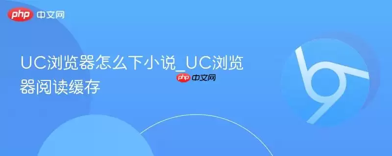 UC�������ô��С˵