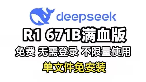 deepseek��Ѫ����ʲô����