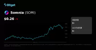 somi���Ƿ���Ͷ��ǰ��