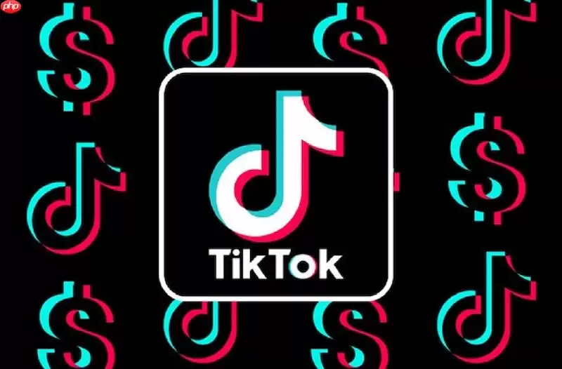 TikTok����ˢ��Ƶ��� ��Ѳ������