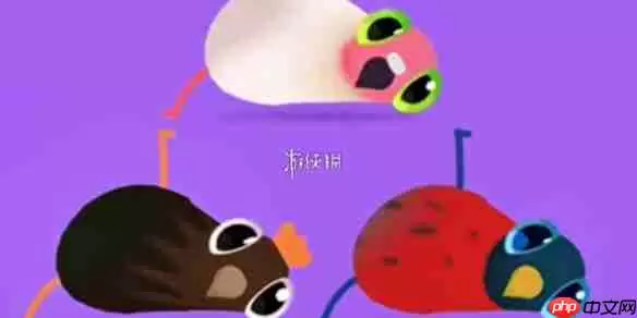 ���ĸ��ӳ�����ôˢ?���ĸ��ӳ�����ˢ����