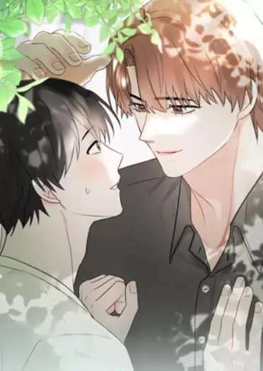 yy������ѵ�¼��� yy������ҳ��ѵ�¼���2026