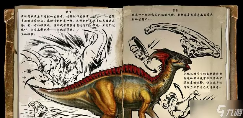 �����������������Ϸ���ȶ�Ͽ��ӥ���ܽ��� ����ӥ�ļ���