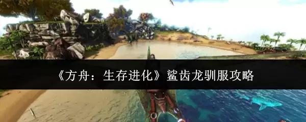 �����ۣ���������������ѱ������