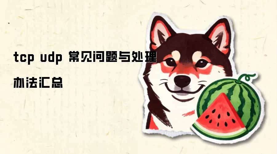 tcp udp ���������봦���취����