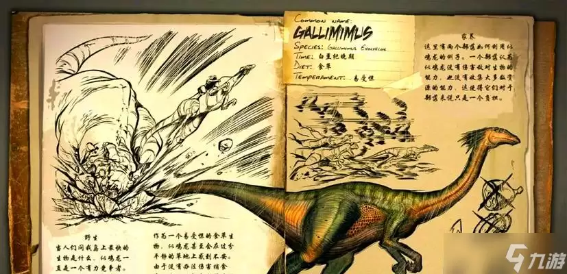 ��ô��Ч�������� ̽����Ϸ����