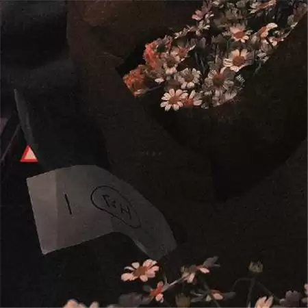 qqΨ������Ů��ͷ������˸�(��ѡ100��)