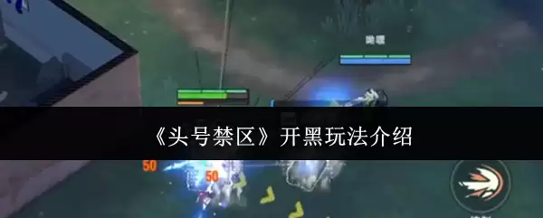 ��ͷ�Ž����������淨����