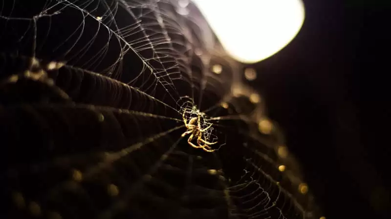 ����û������Żᰮ